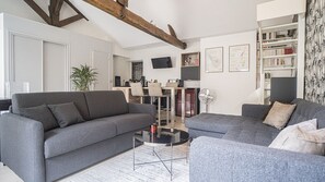TV - Comfortable and bright 50 m² in Paris 10th. (Paris)