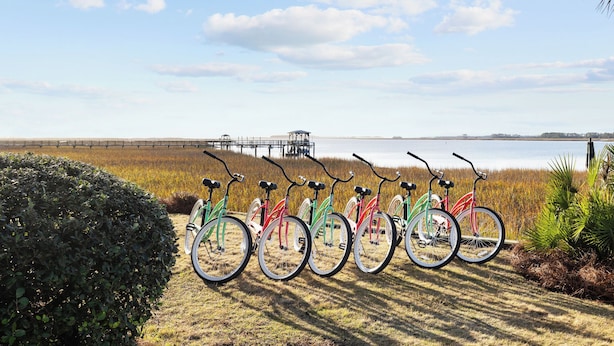 Varias bicicletas estacionadas en un césped, con vista a un cuerpo de agua y un puente distante.
