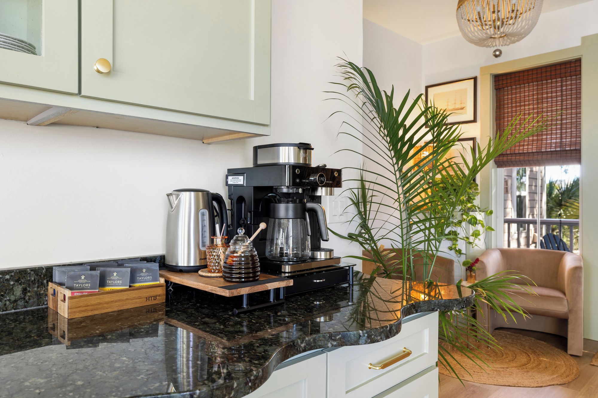 A kitchen with a coffee machine, a kettle, and a plant on the counter.