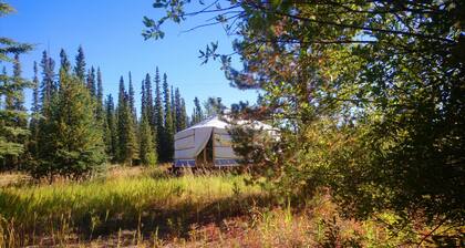 Marshian Yurt