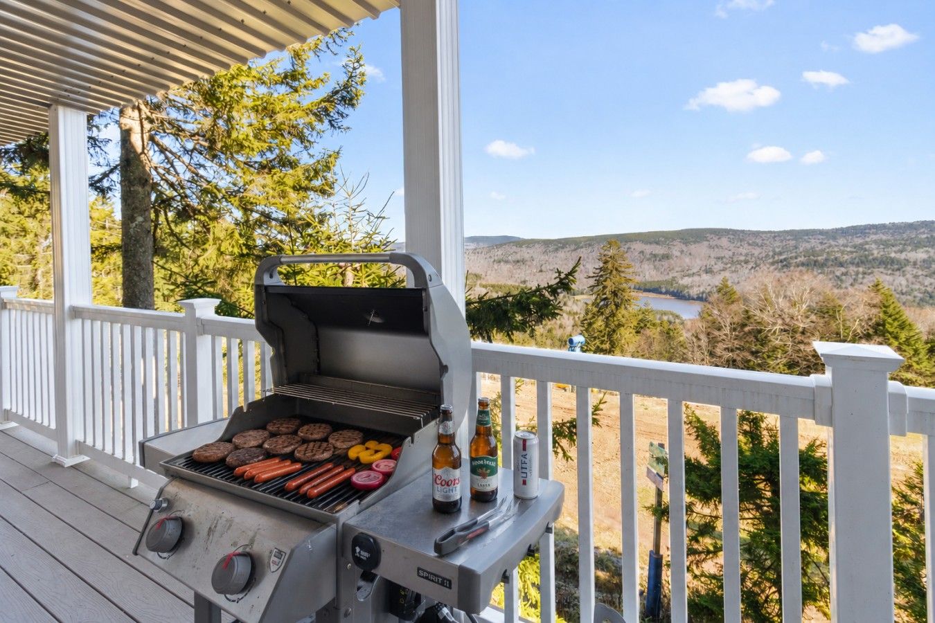 Un barbecue installé sur une terrasse en bois, offrant une vue panoramique sur des collines et un lac.