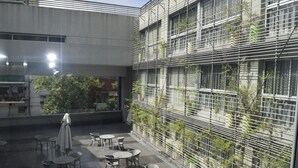 星評価なしの画像、4 / 27、ボタン