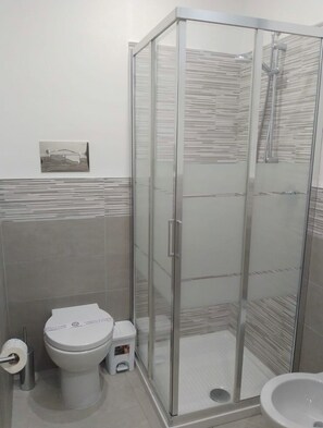 Shower, hair dryer, bidet, towels