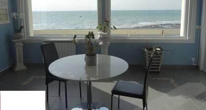 Villa sur la plage !Grand jardin vue mer, idéal en famille ou entre amis.