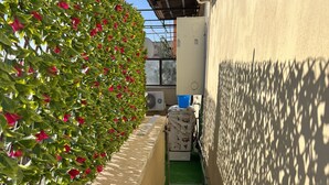 A narrow corridor with artificial green turf, a wall with a patterned object, and a hedge with red flowers.