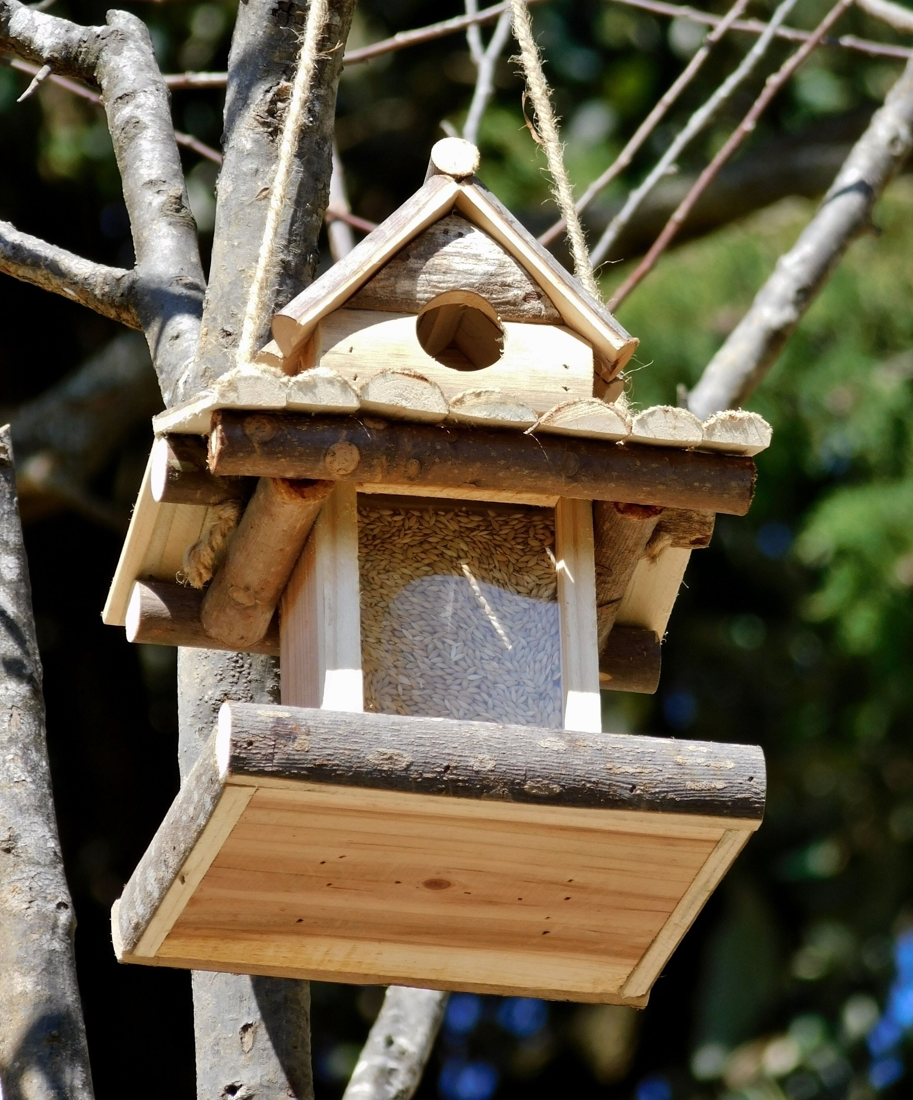 A wooden birdhouse hanging from a tree branch.
