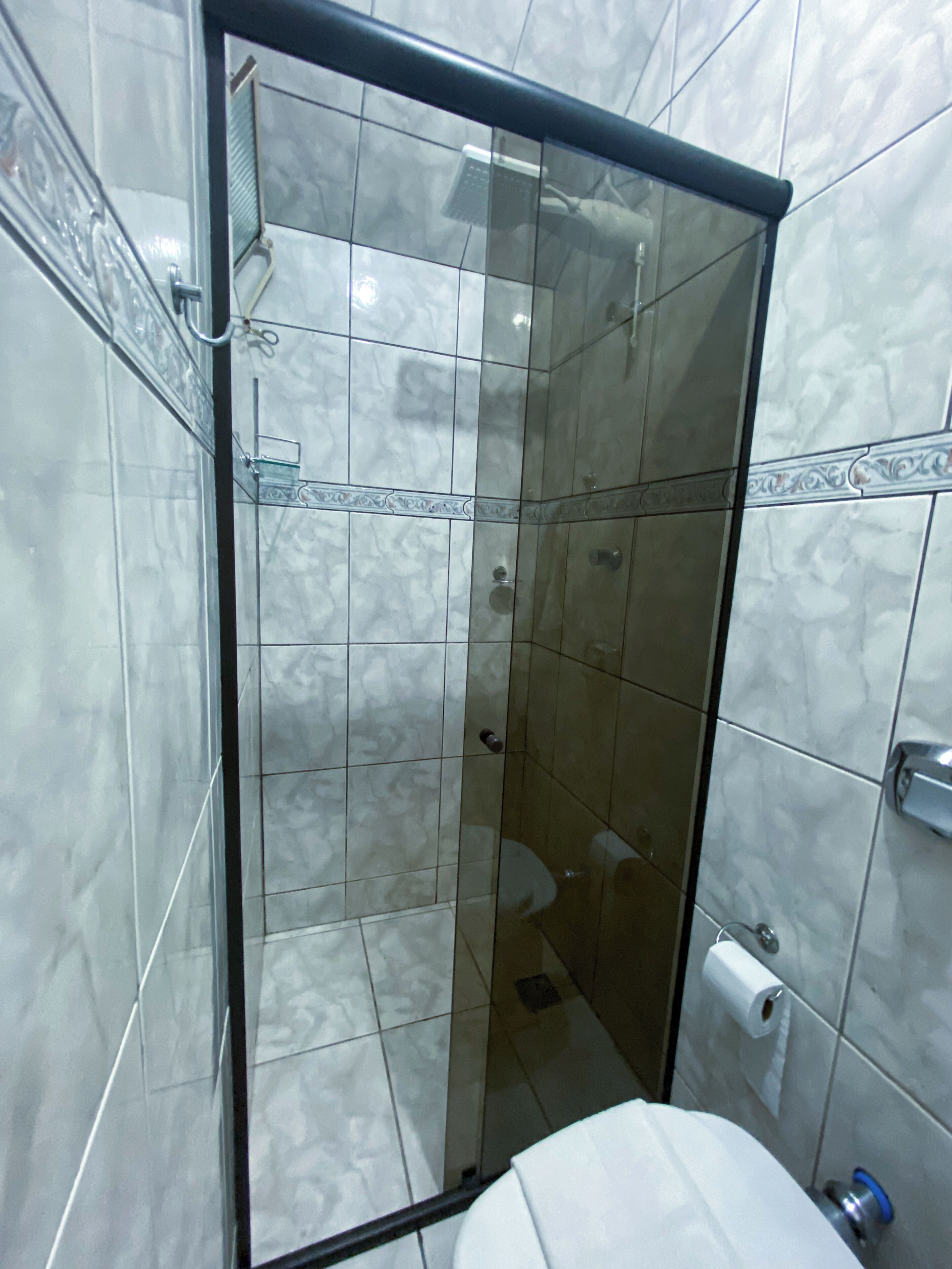 A glass-enclosed shower stall with a toilet to the right.