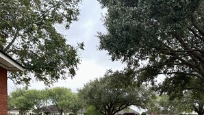 Un chemin pavé mène à une zone herbeuse où se trouvent un arbre et un bâtiment en briques.