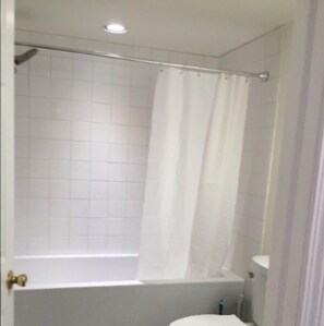 Hair dryer, towels, soap, shampoo - Beautiful 1 Bedroom Apartment (Frederick)