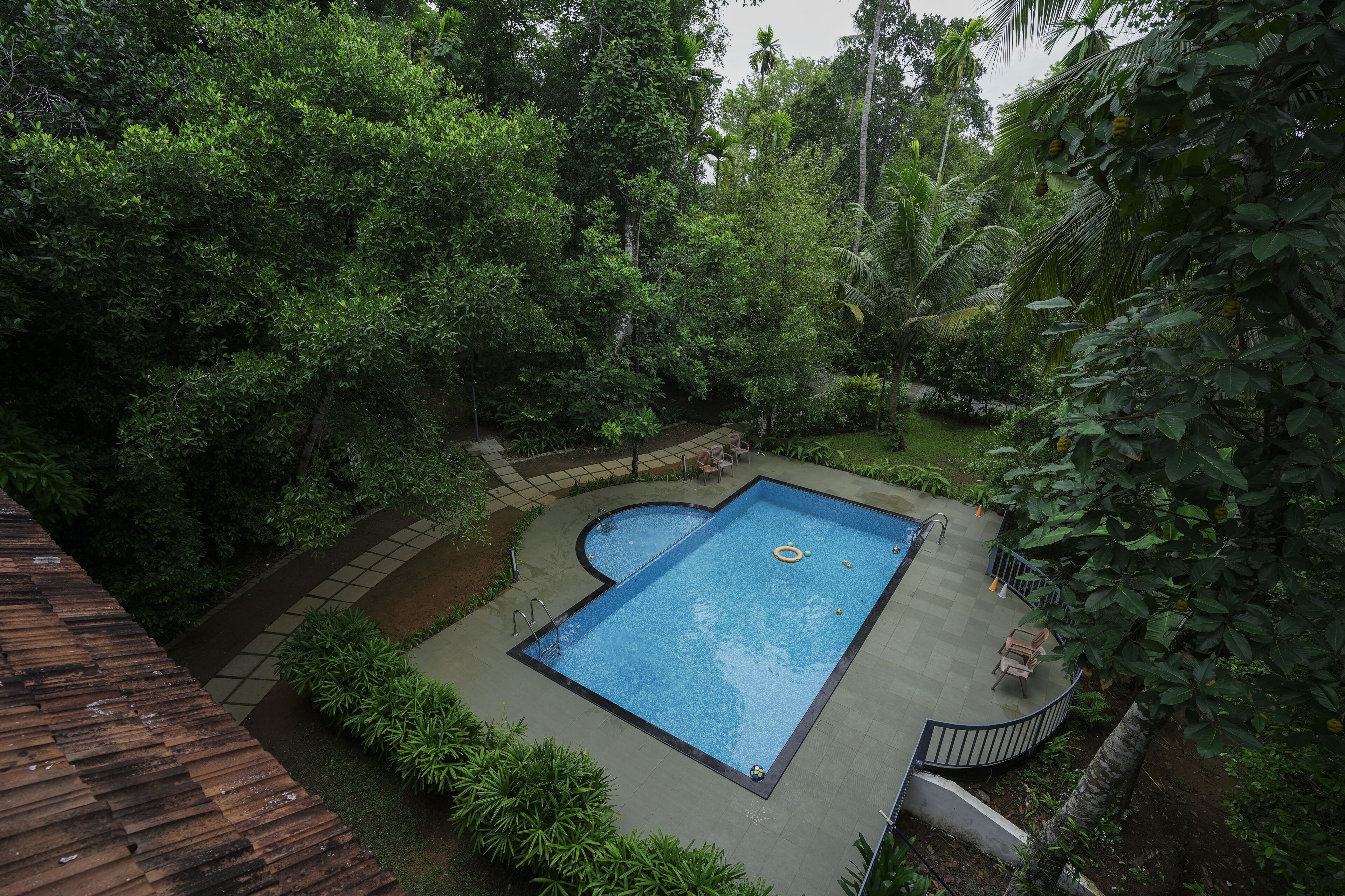 A rectangular swimming pool surrounded by lush greenery and a wooden deck.