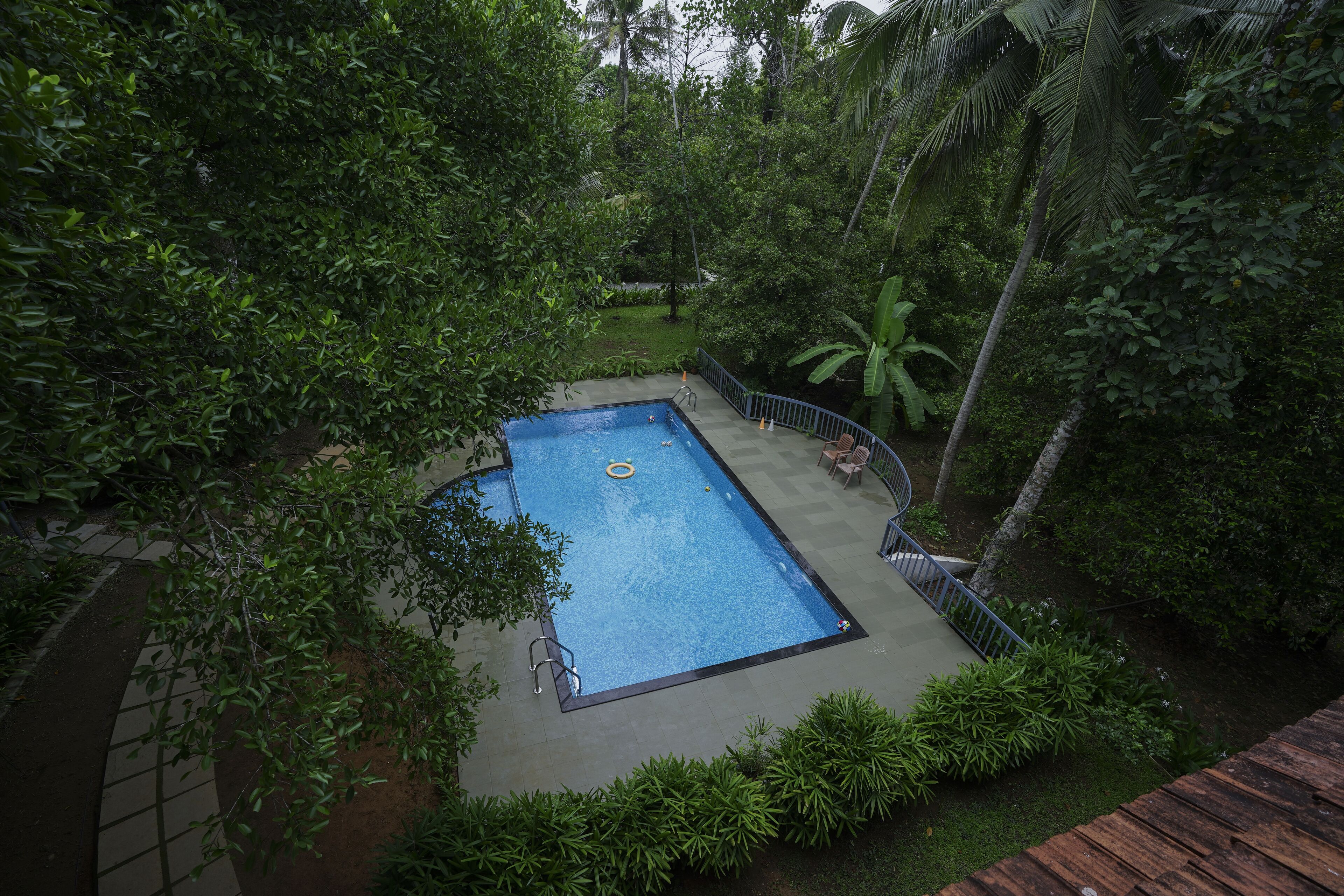 An outdoor swimming pool surrounded by lush greenery and palm trees.