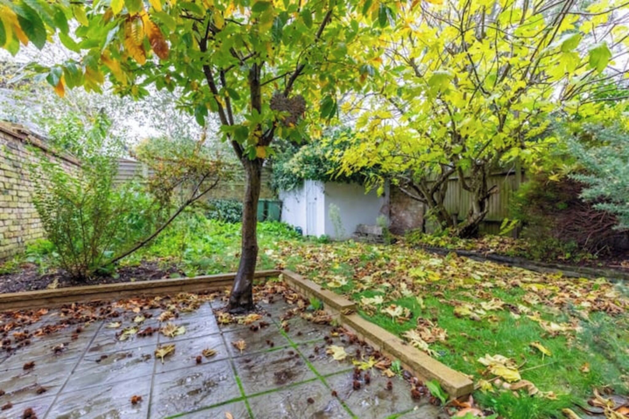 A garden with a tree, a white fence, and a brick wall.