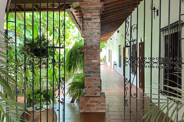 Jardí