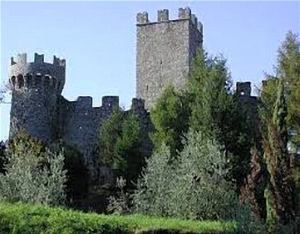 A historic stone castle with battlements, surrounded by dense greenery.