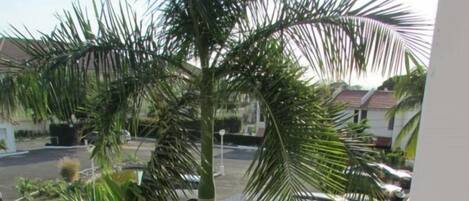 حمّام سباحة خارجي