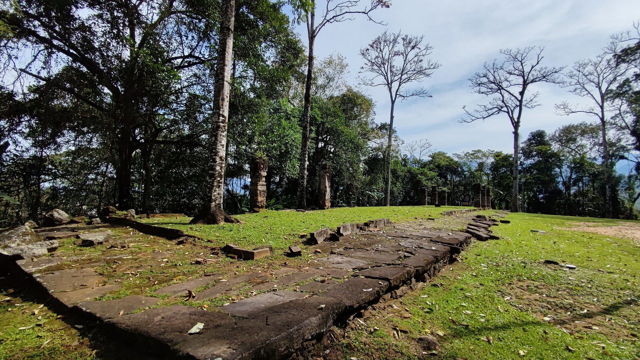 Área da propriedade