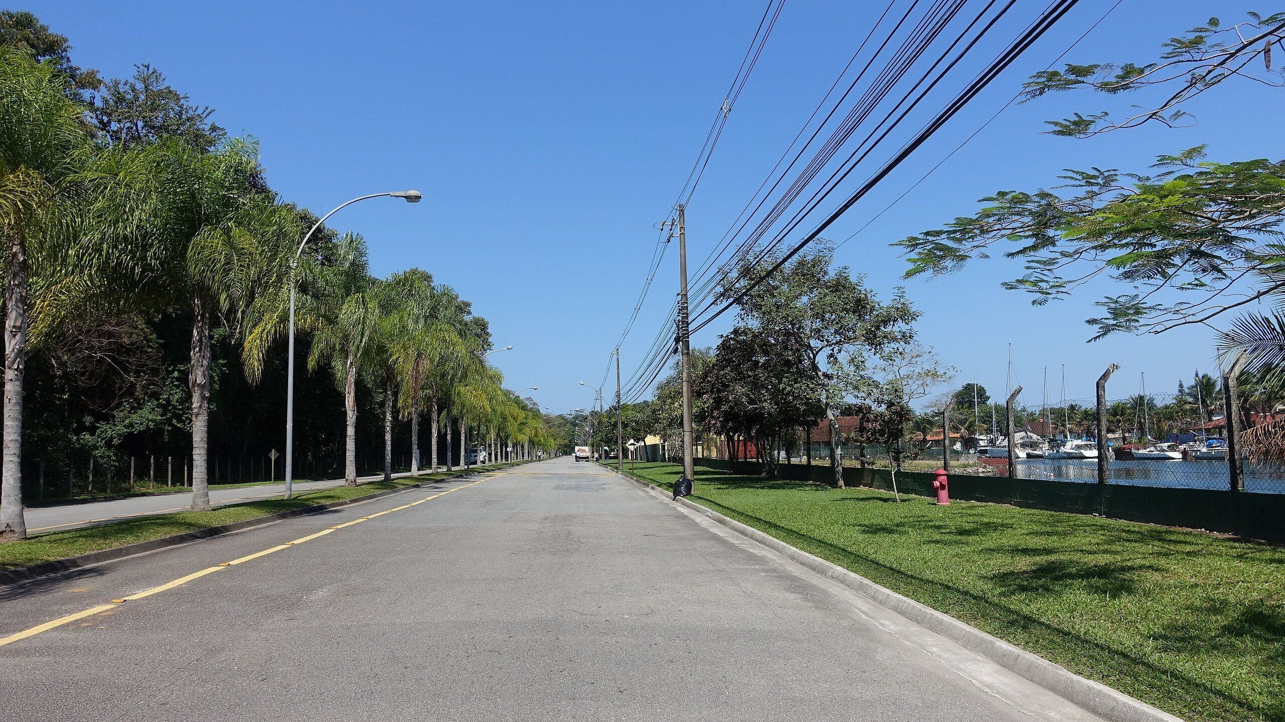 A tree-lined street with a clear sky, a sidewalk, and a body of water with boats.