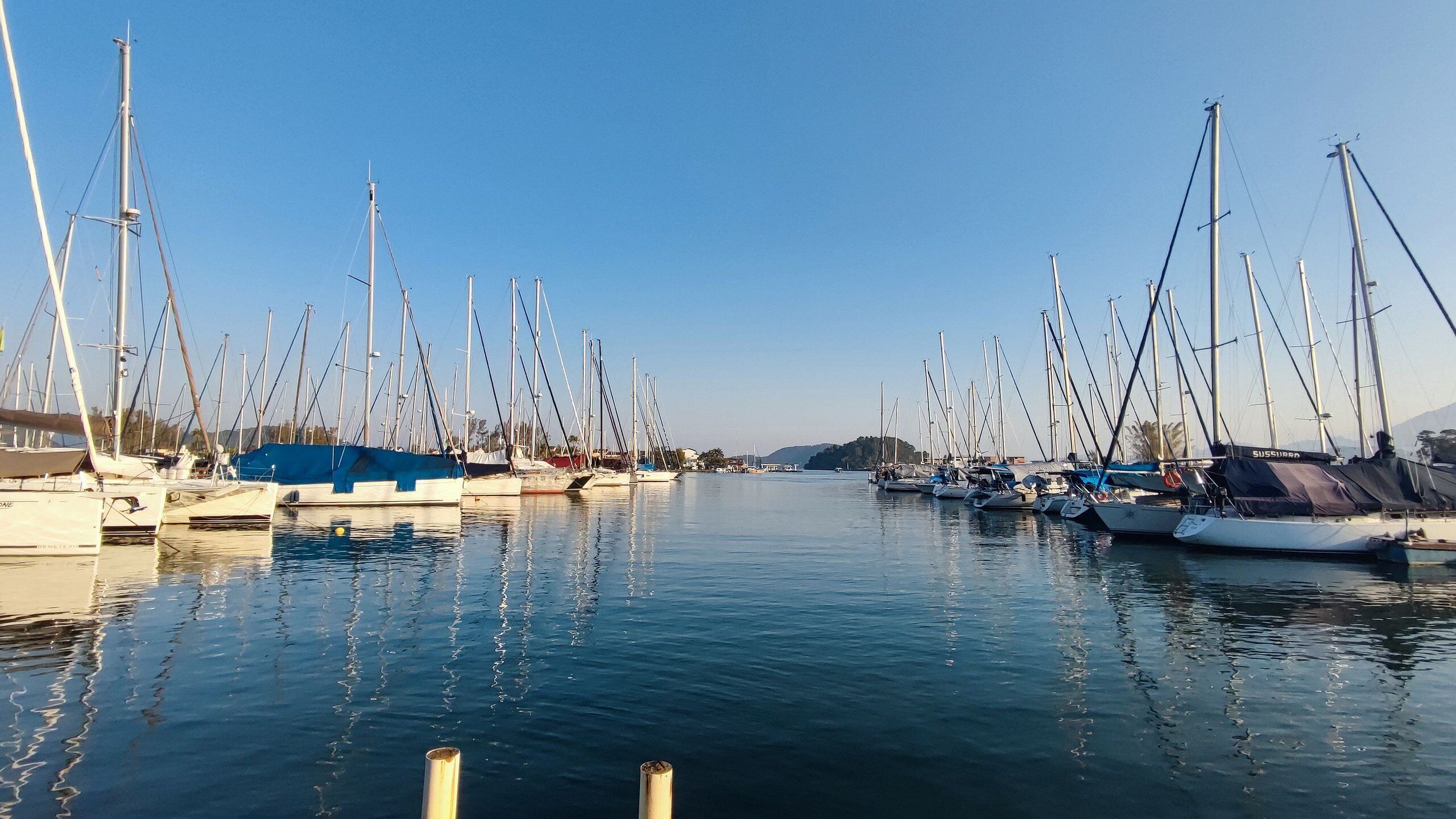 A marina with multiple sailboats docked.