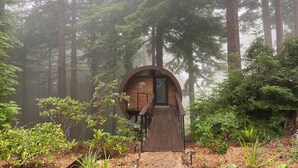 Une cabane en bois surmontée d’un toit circulaire, entourée de grands arbres et d’une végétation dense.