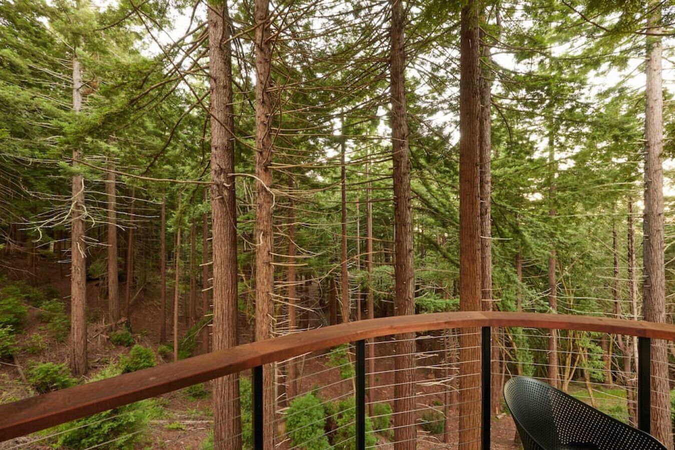 A forested area with a wooden railing and a chair.