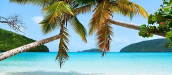 Luxury Oceanview Villa | Walk to Beach & Dining