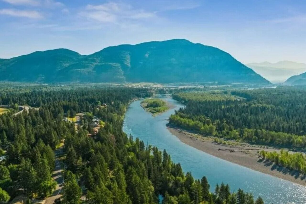 Une rivière serpente à travers une zone densément boisée, avec des montagnes en arrière-plan.