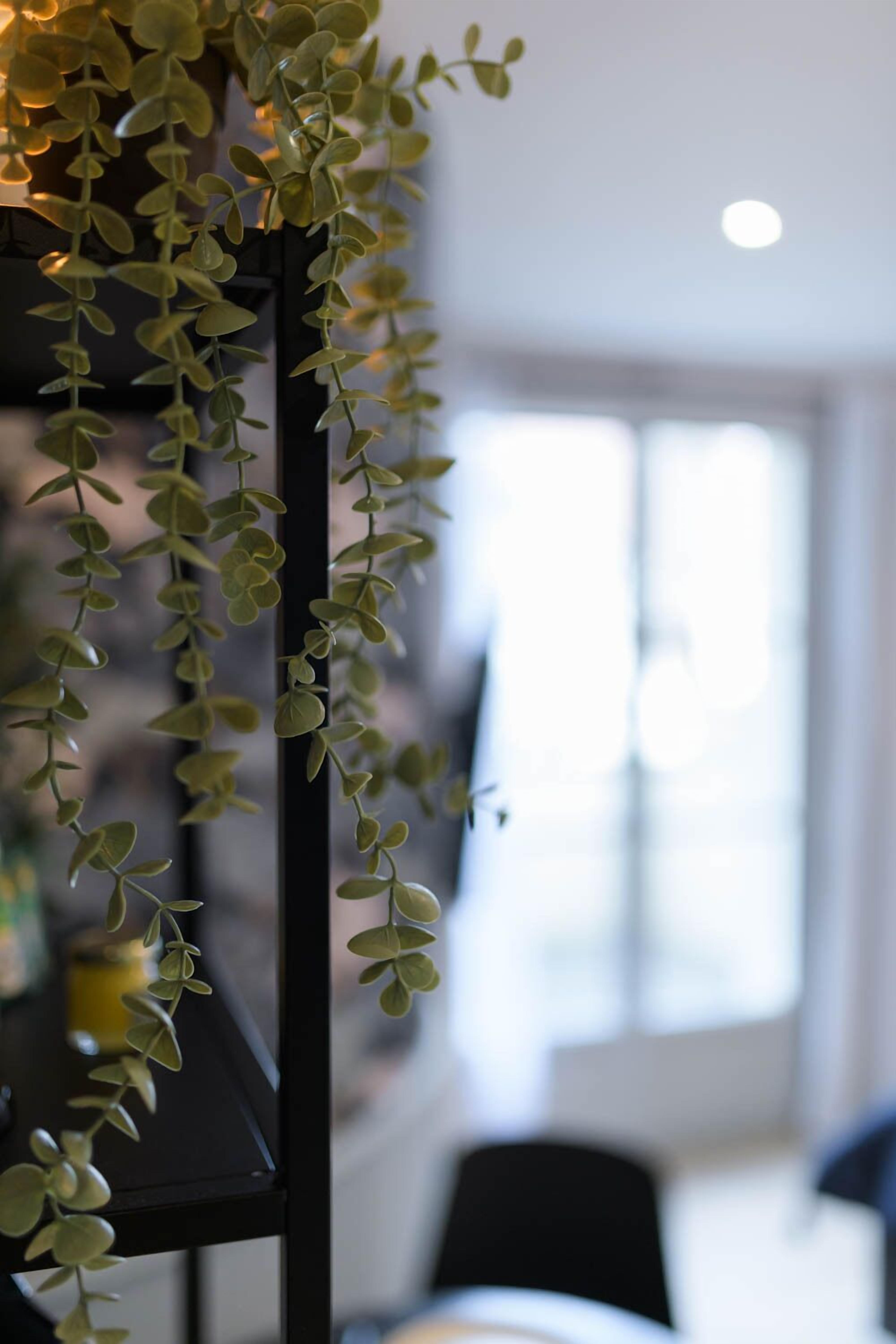 A black metal shelf with hanging green foliage.