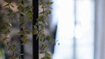 A black metal shelf with hanging green foliage.