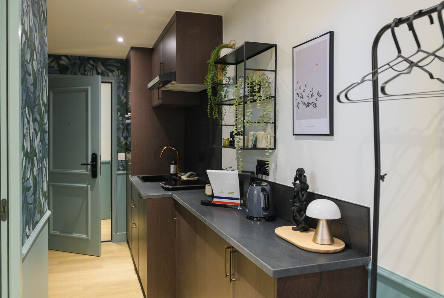 A modern kitchen with dark wood cabinets, a black countertop, a coffee maker, and a hanging plant.