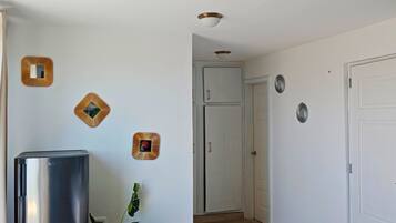 A room with a metallic object, possibly a refrigerator, near a door. There are decorative wall pieces and a plant.