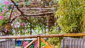 Wicker chairs under a wooden structure with a mural in the background. - Altea Lodge (San Rafael del Yuma)