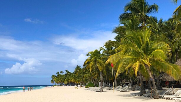 A beach with white sand, clear blue water, and palm trees. - Altea Lodge (San Rafael del Yuma)
