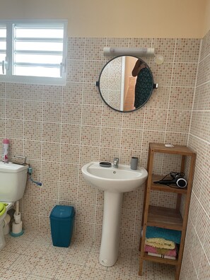 Shower, hair dryer, towels, shampoo - Appartement Balisier (Saint François)
