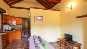 A compact living space with a kitchenette, a sofa with cushions, a television on a wooden table, and a framed picture on the wall. - Countryside Views House Teror 1 (Teror)