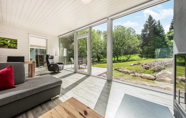 テレビ、暖炉、DVD プレーヤー