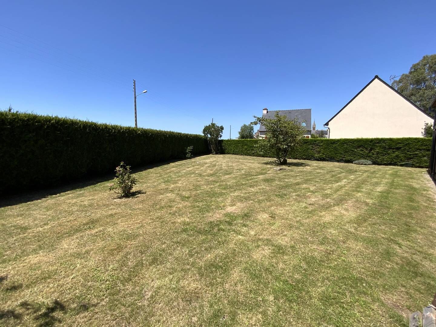 A well-maintained lawn with a hedge, a small tree, and a building in the background.