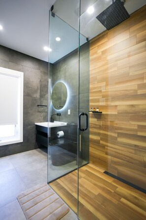Douche, séchoir à cheveux, serviettes fournies, savon