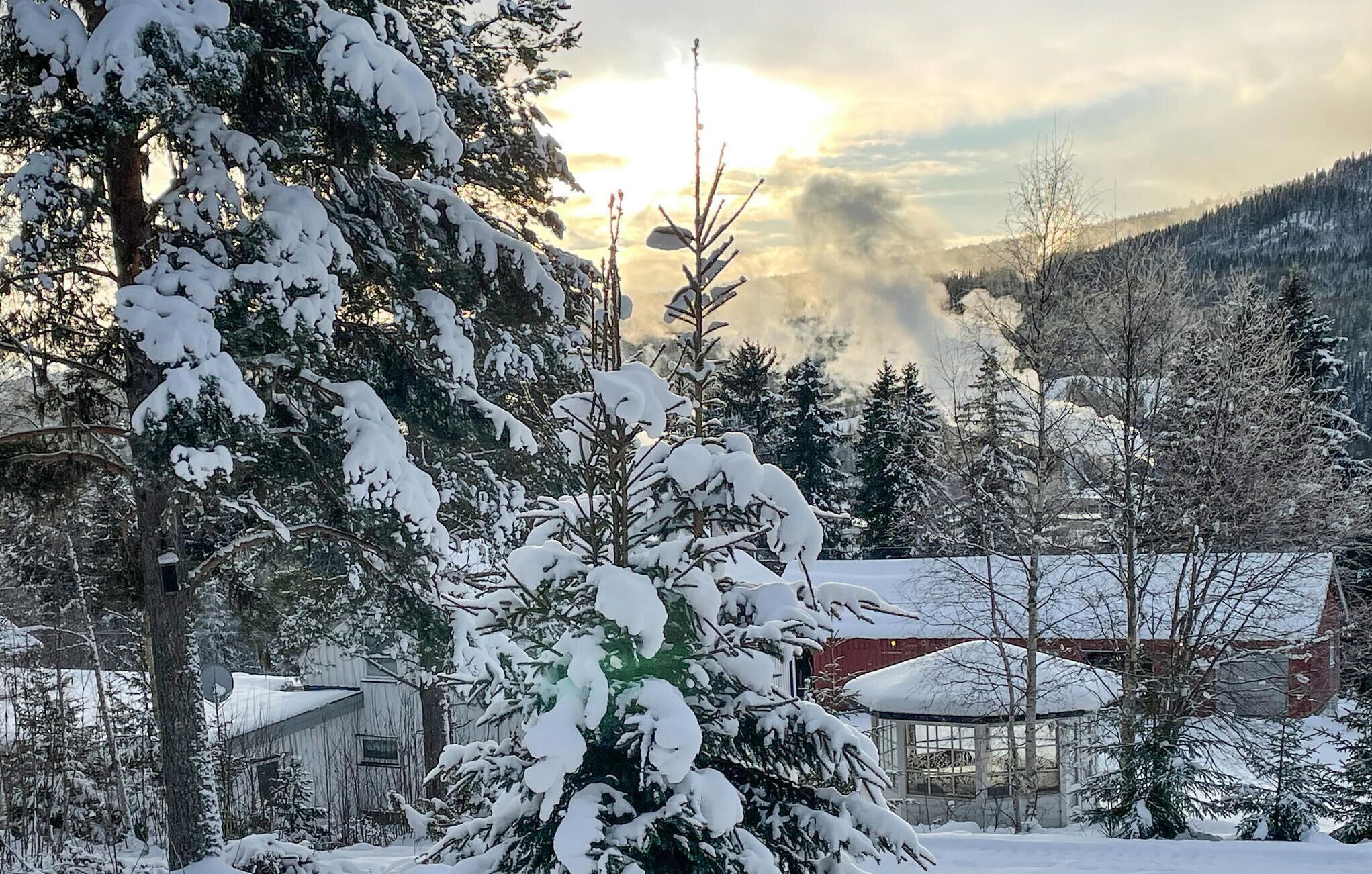 Eine verschneite Landschaft mit einem Haus und einer Glaskonstruktion.