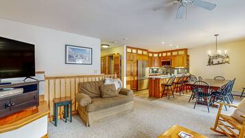 Televisio, takka, DVD-soitin, videokirjasto