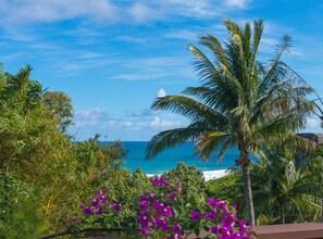 A tropical landscape with a palm tree, purple flowers, and a view of the ocean.