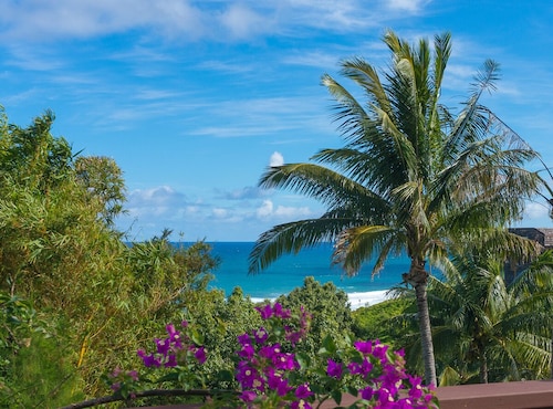 Ocean Pool Hale 3br 2ba Cozy Princeville Home with Private Pool, Hot tub and Ocean Views, Beach Gear