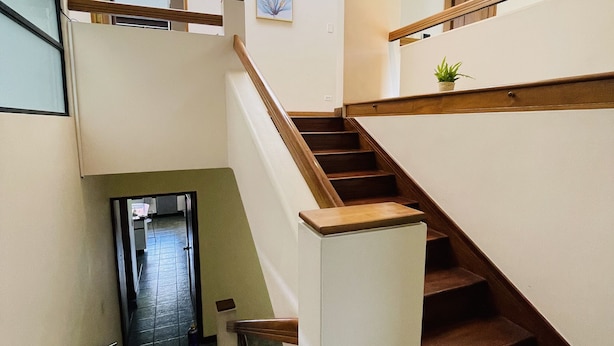 A multi-level staircase with wooden handrails and a potted plant on the upper landing. - The Rainier Bed & breakfast  (San José)