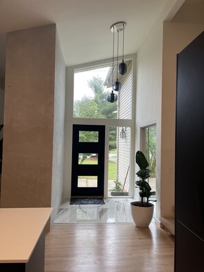 Uma entrada moderna com uma porta preta, um vaso de planta e vista para o exterior.