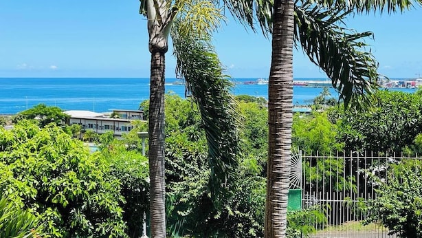 Une vue d’une zone côtière avec des palmiers et un ciel bleu dégagé.