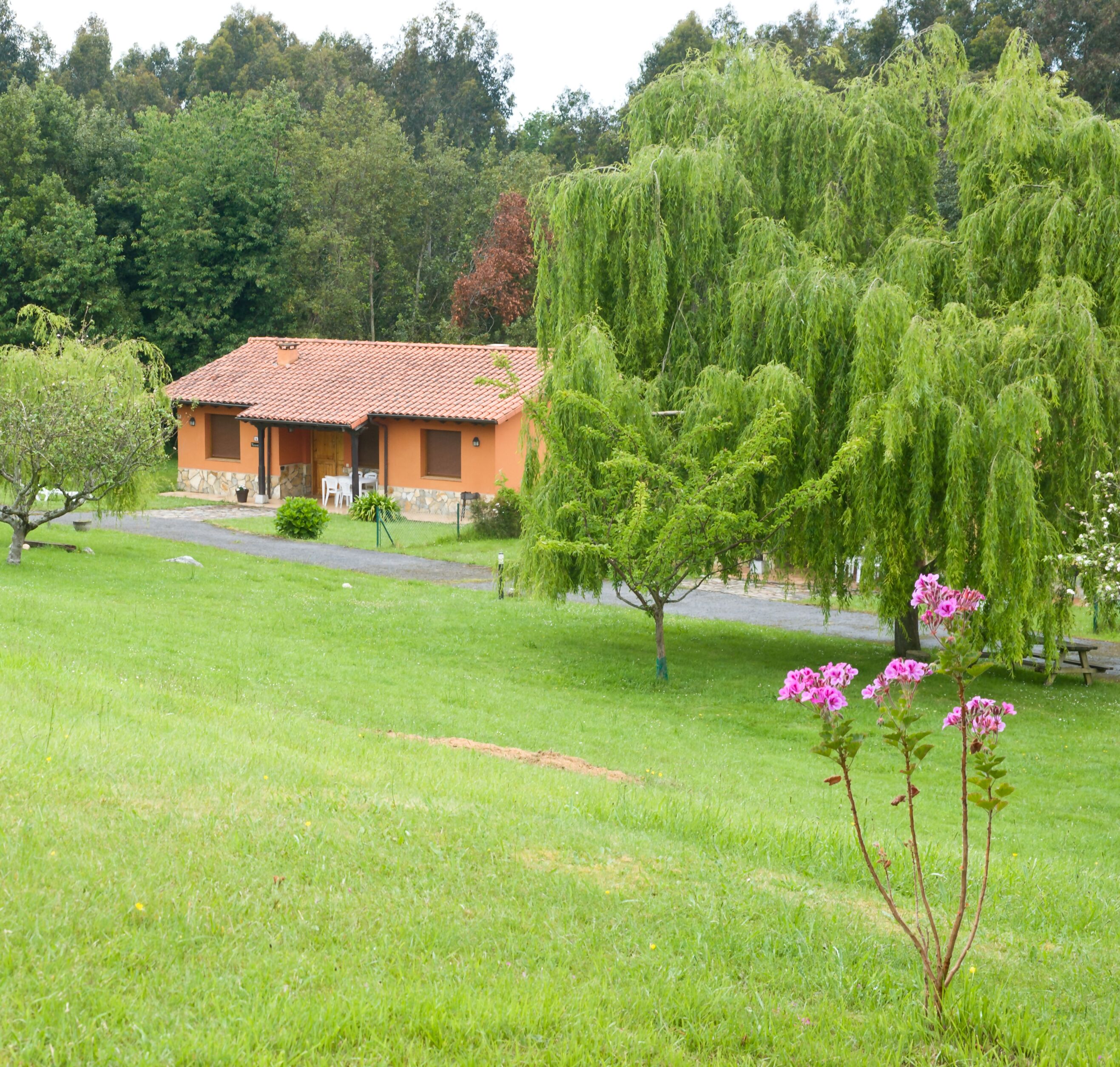Una casa amb teulada vermella, envoltada per un camp de gespa i arbres.