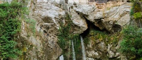 Natural landscape