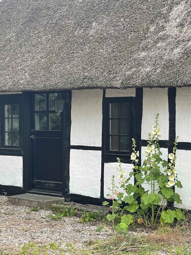 Charming cottage within walking to beach