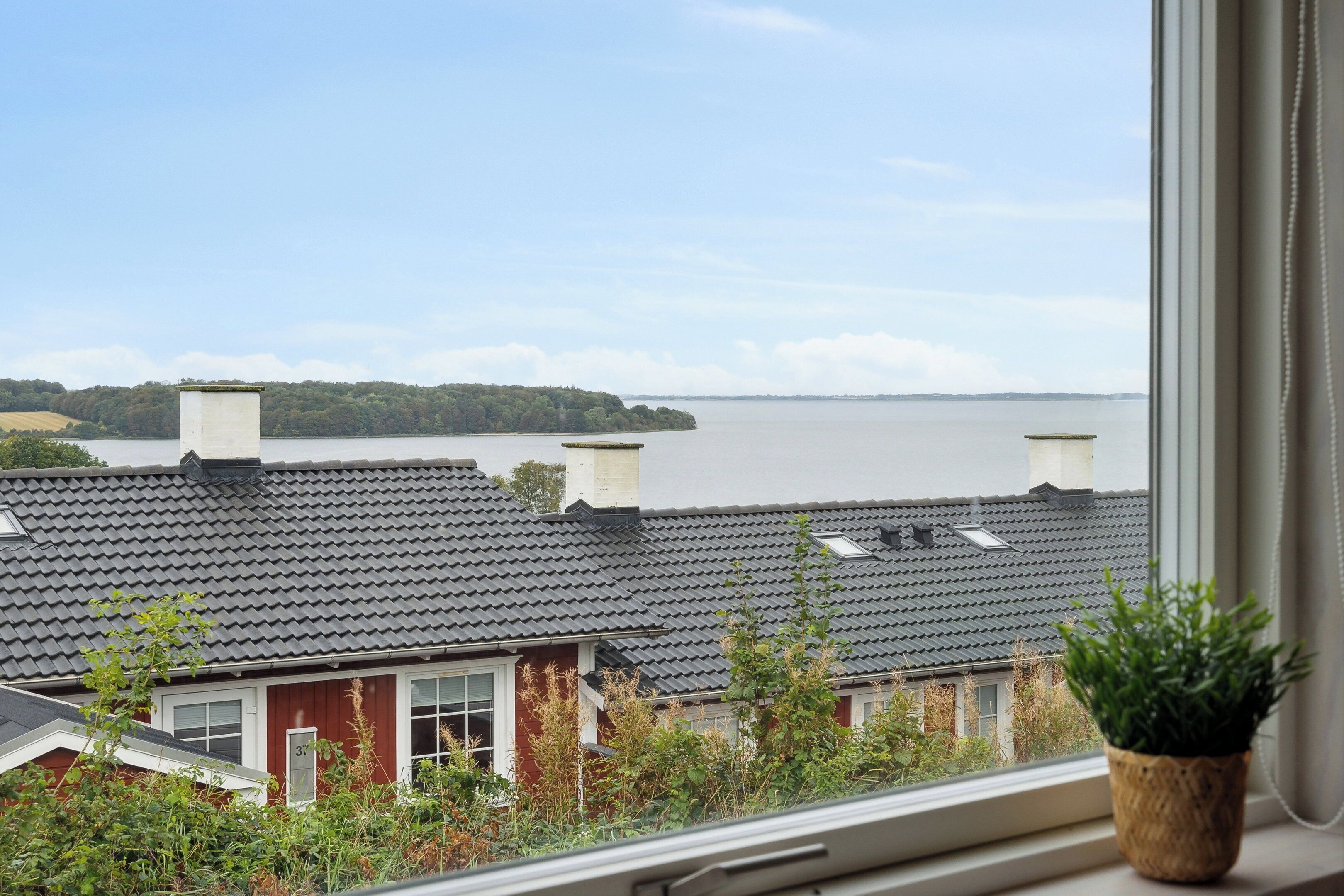 A residential building with a tiled roof, a visible chimney, and a window with a potted plant.