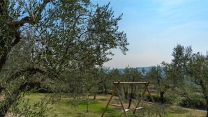 A swing set in a grassy area surrounded by olive trees. - Chantal by Interhome (Capannori)