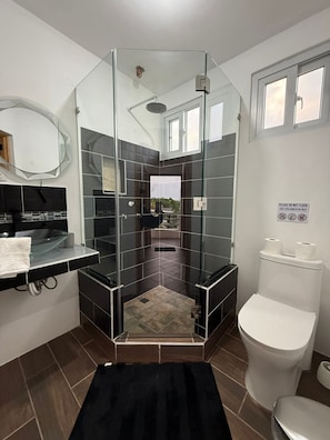 Une salle de bain moderne avec une douche à parois de verre, des toilettes et un lavabo avec un miroir.